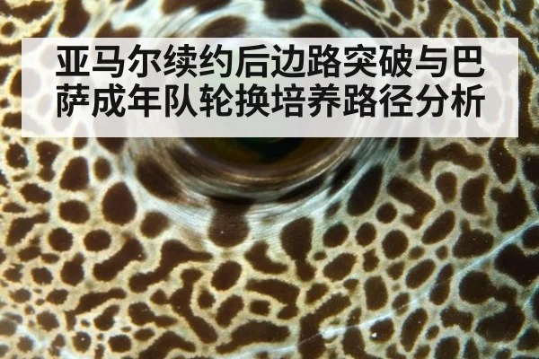亚马尔续约后边路突破与巴萨成年队轮换培养路径分析