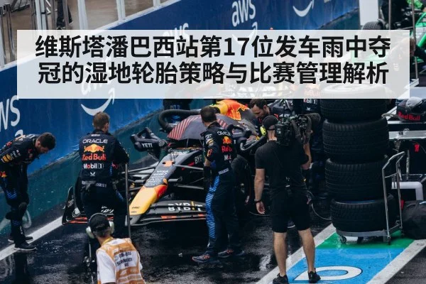 维斯塔潘巴西站第17位发车雨中夺冠的湿地轮胎策略与比赛管理解析